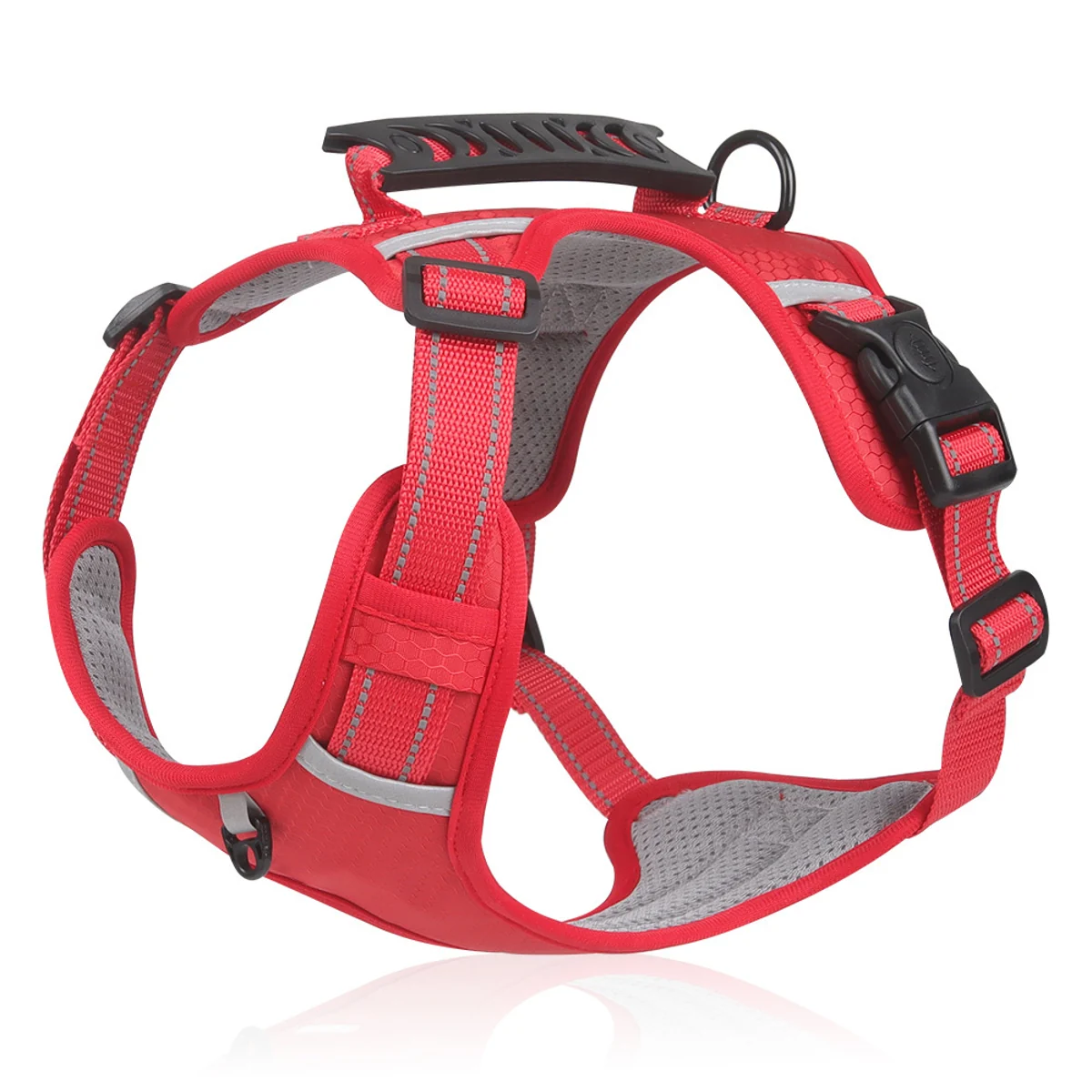 Harnesses collection visual