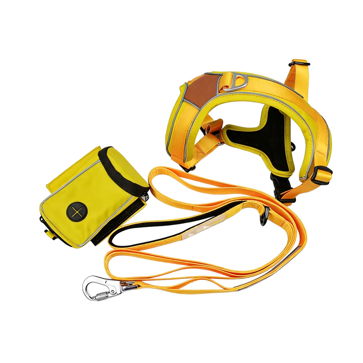 Yellow Harness Walking Set