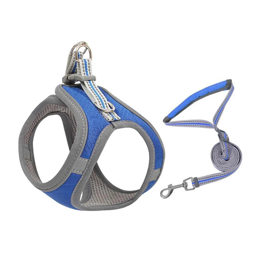 Blue Mesh Harness & Lead Set