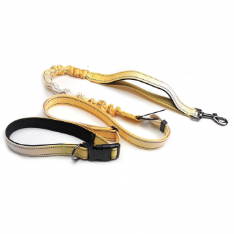 dog leash, custom dog lead, polyester dog leash, reflective dog leash, Gradient Color dog leash