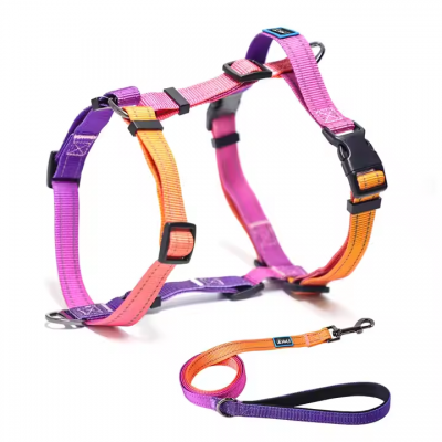 Custom Nylon Dog Harness, No Pull Dog Harness, Matching Dog Leash, Sport Dog Harness, Fashion Pet Harness, Walking Dog Gear