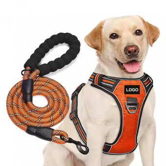 Luxury Pet Harness, Custom Dog Collar, Adjustable Nylon Harness, No Pull Leash, Designer Dog Harness, Premium Pet Leash