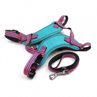 Custom Nylon Dog Harness, No Pull Dog Harness, Matching Dog Leash, Sport Dog Harness, Fashion Pet Harness, Walking Dog Gear