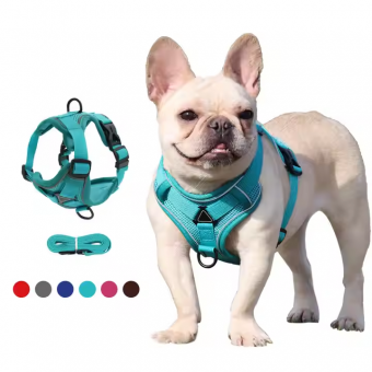 Custom Logo Dog Harness, Soft Padded Harness, Nylon Neoprene Harness, Adjustable Dog Harness, Fashion Dog Harness, Pet Harness Set