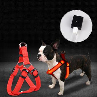no pull pet harness with blue led light
