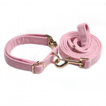 luxury pet collar for small medium female dogs