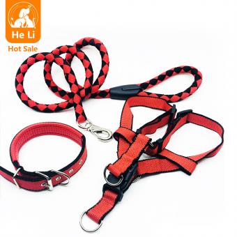 rainbow gradient led light up dog collar leash set