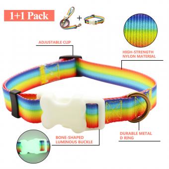 rainbow gradient led light up dog collar leash set
