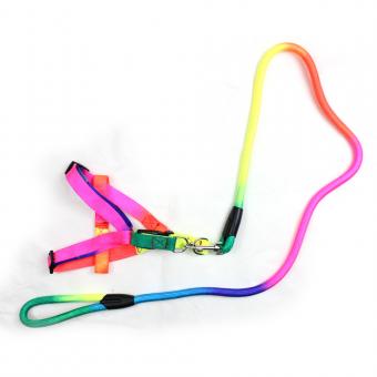 colorful adjustable pet walking kit for small medium dogs