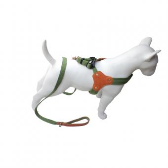 adjustable green orange color block dog harness leash set