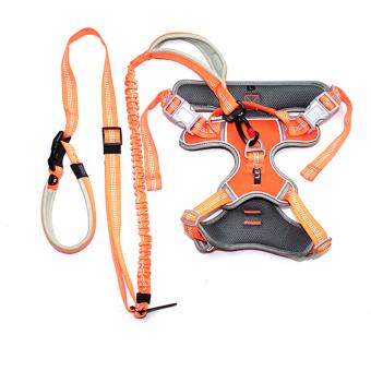 heavy duty dog harness with buffer leash