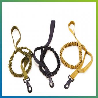shock absorbing spring dog leash