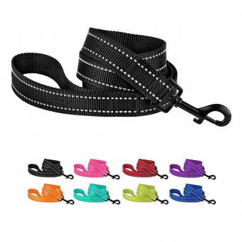 colorful dog training leash with metal clasp