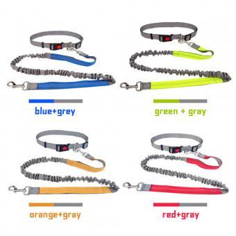 heavy duty nylon pet walking lead for medium large dogs