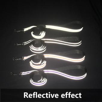 reflective dog leash for night safety