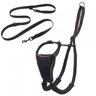all-in-one dog harness set