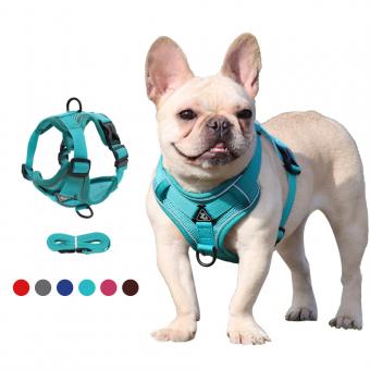 step in dog harness for small medium dogs