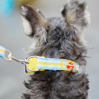 cute cartoon printed dog collar