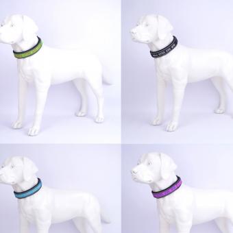adjustable nylon pet neck collar