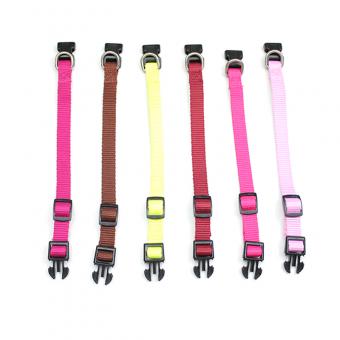 multi color dog leash