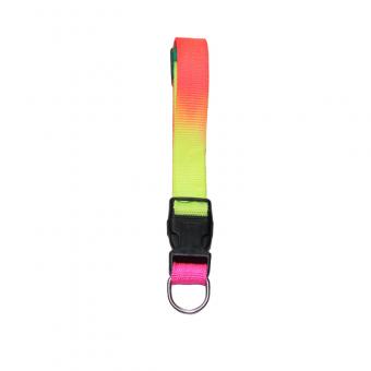 gradient rainbow pet leash