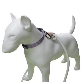 solid nylon dog collar