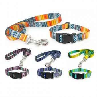 printed collar leash set