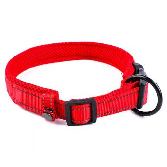 basic everyday dog neck collar