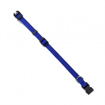 blue nylon dog collar