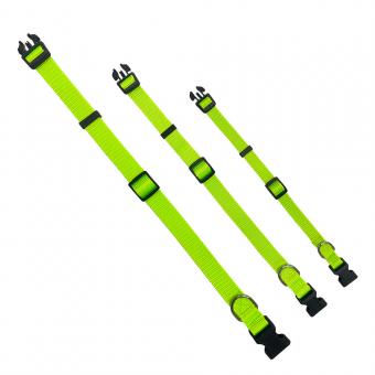 fluorescent green dog collar
