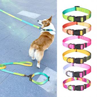gradient dog collar leash set