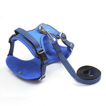 blue mesh dog harness set