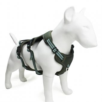 large breed no pull dog gear