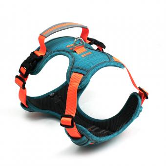color block dog harness