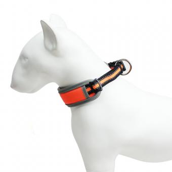 red black nylon dog collar