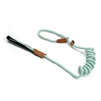 coiled stretchable dog leash