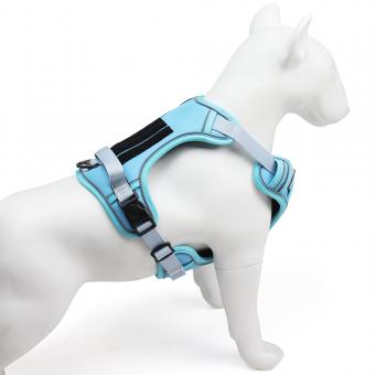 light blue dog harness