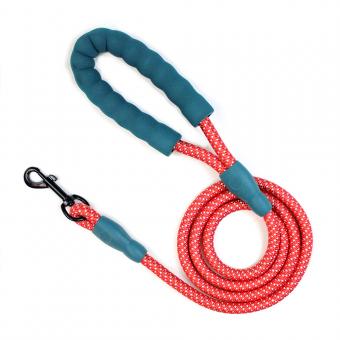 red blue dog leash