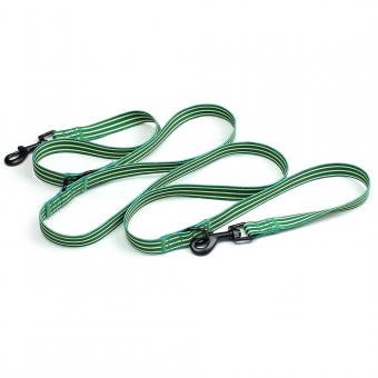 double buckle flat pet lead