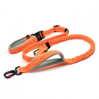 orange hands-free dog leash