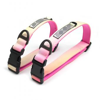 engraved dog collar