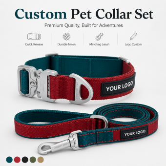 dog collar and leash set