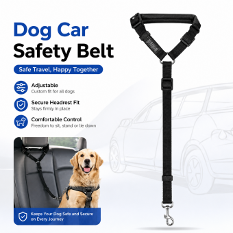 custom padded handle pet leash