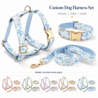 custom dog harness collar leash set