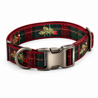 vintage metal buckle pet collar