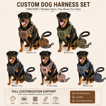reflective stitching dog walking gear