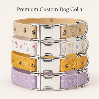 ditsy floral ladybug silver metal buckle dog collar