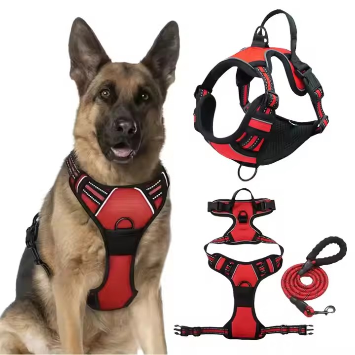 Pet Harness & Leash Set